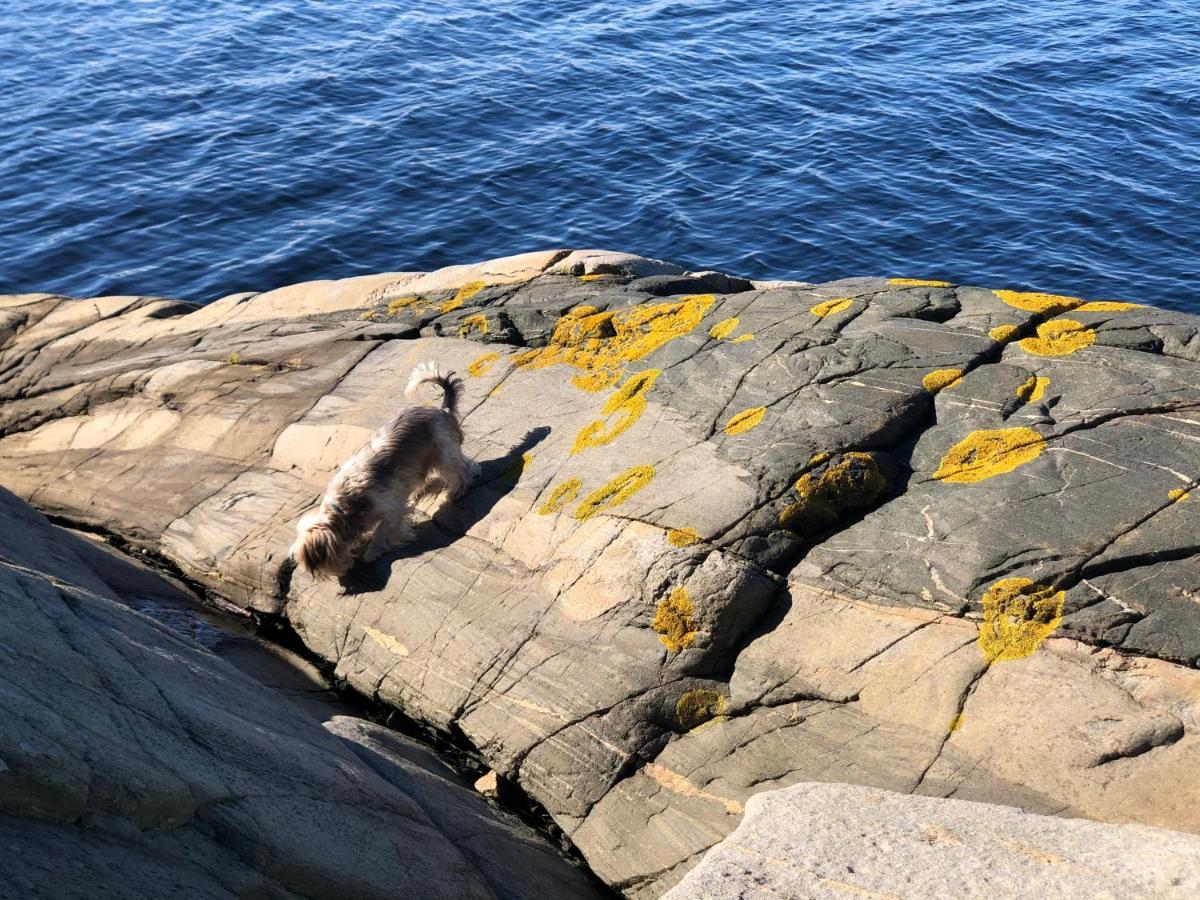 Appartamento Sjonaer Idyll Kristiansand Esterno foto